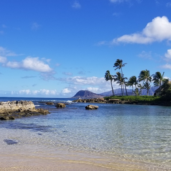 Meet your Posher, Lucy - Picture 1 of 1